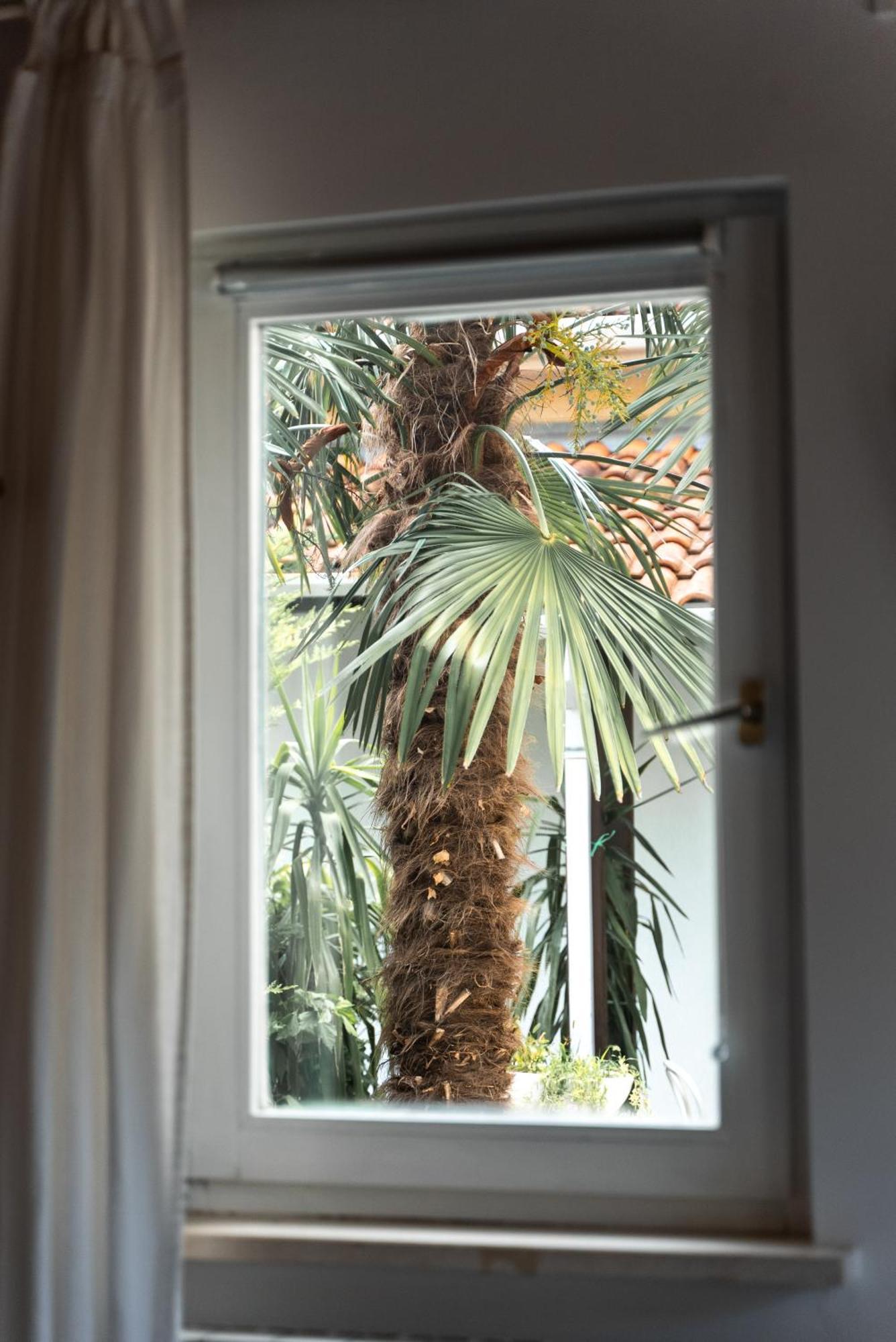 New Cosy Apartments With Private Parking Opatija Exterior foto